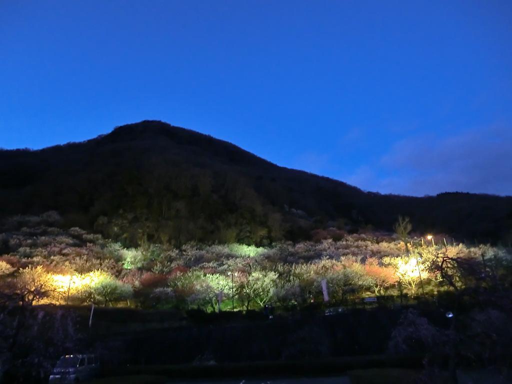 Yugawara Onsen Kawasegien Isuzu Hotel Atami  Dış mekan fotoğraf