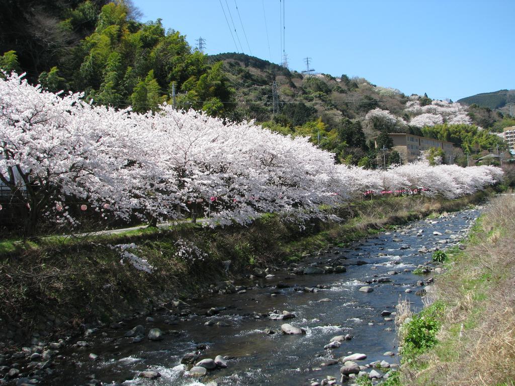 Yugawara Onsen Kawasegien Isuzu Hotel Atami  Dış mekan fotoğraf