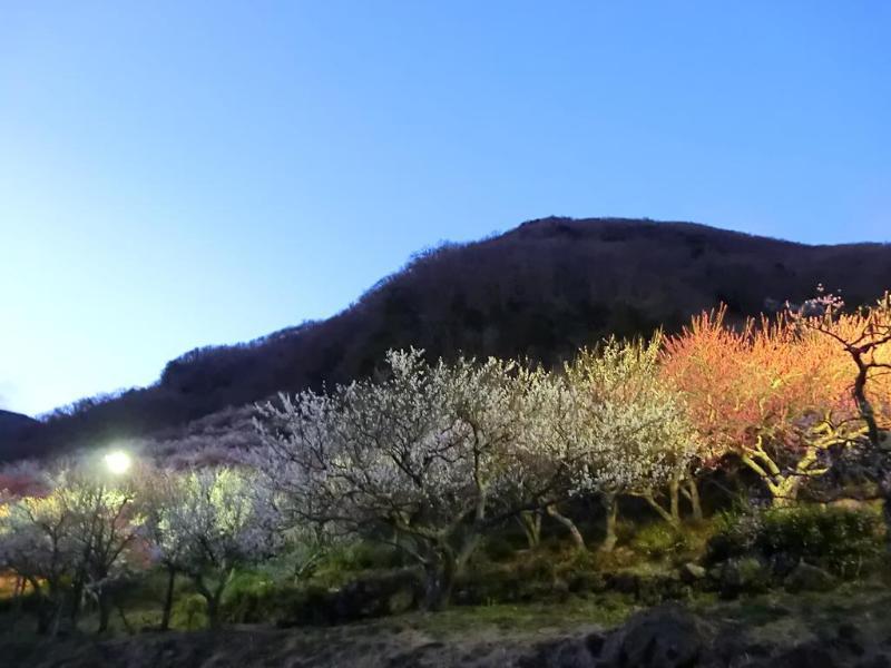 Yugawara Onsen Kawasegien Isuzu Hotel Atami  Dış mekan fotoğraf